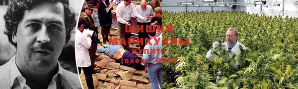 apvp Вязники