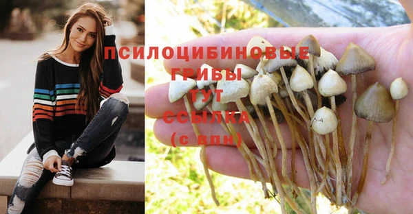 синтетический гашиш Вязьма